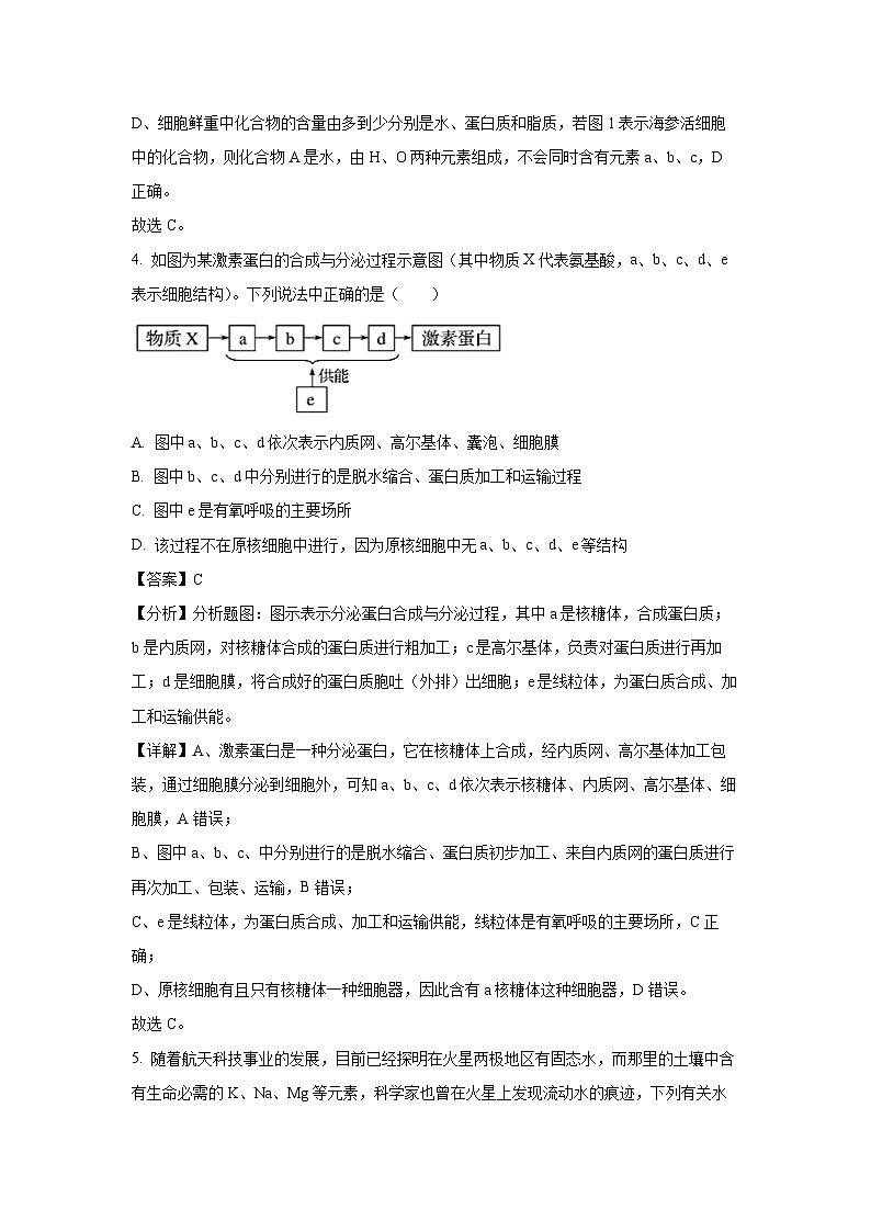 吉林省长春市德惠市2024-2025学年高一上学期期末五校联考生物试卷（解析版）第3页