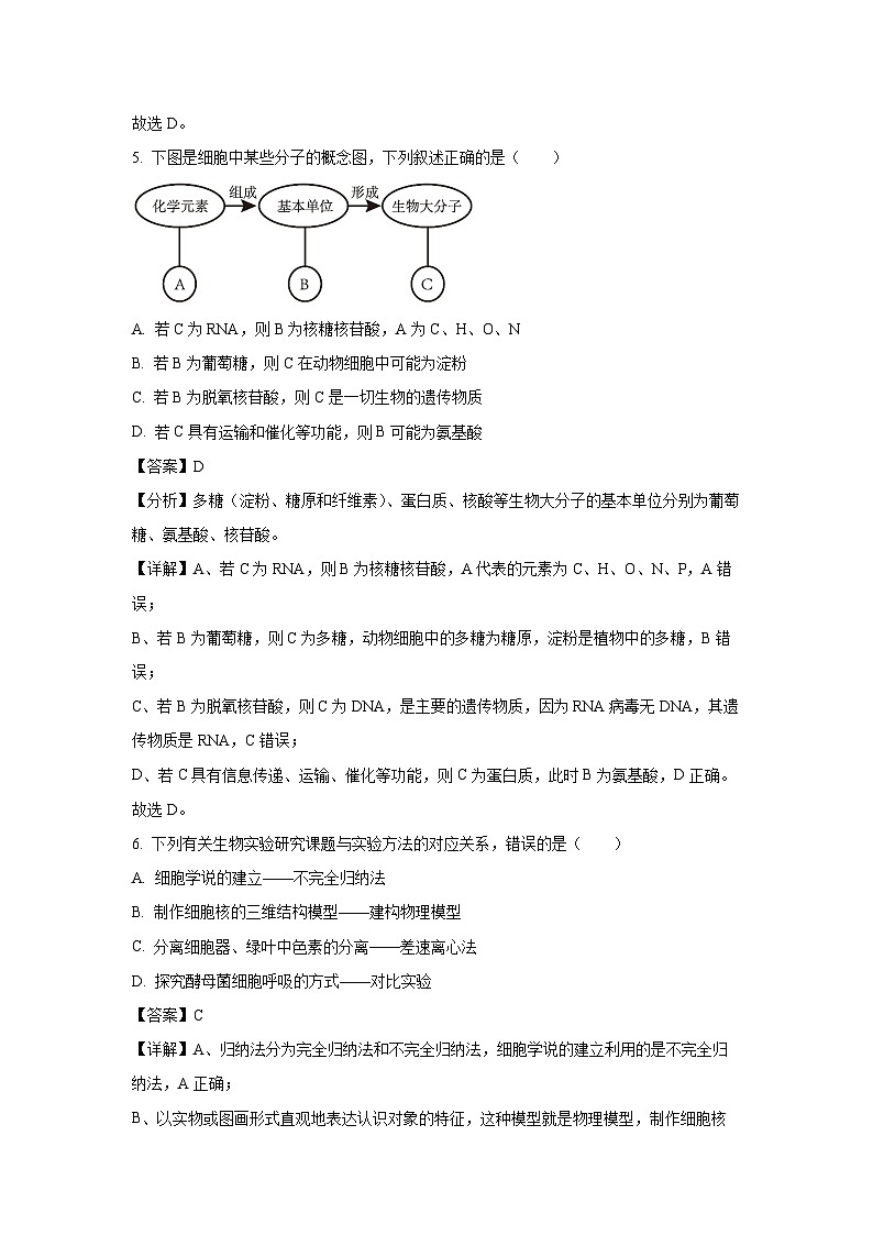 天津市五区县重点校2024-2025学年高一(上)1月期末生物试卷（解析版）第3页