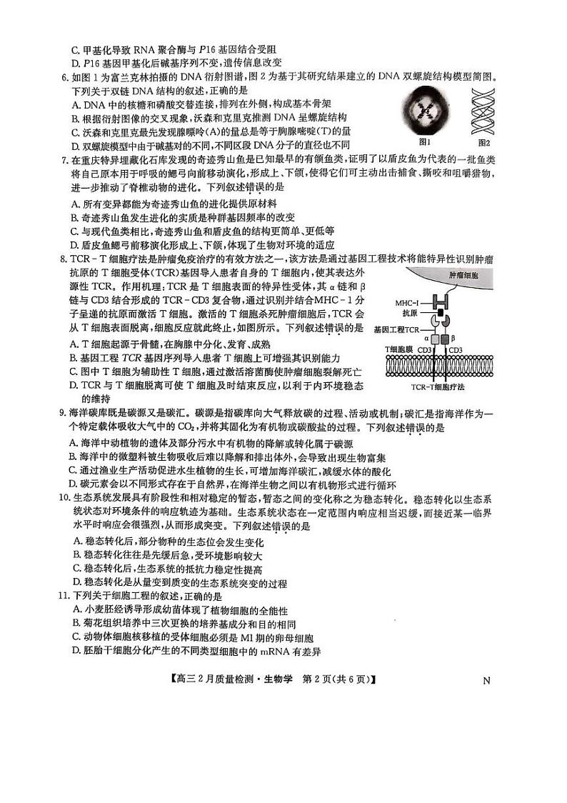 九师联盟2025届高三2月质量检测生物试题+答案第2页
