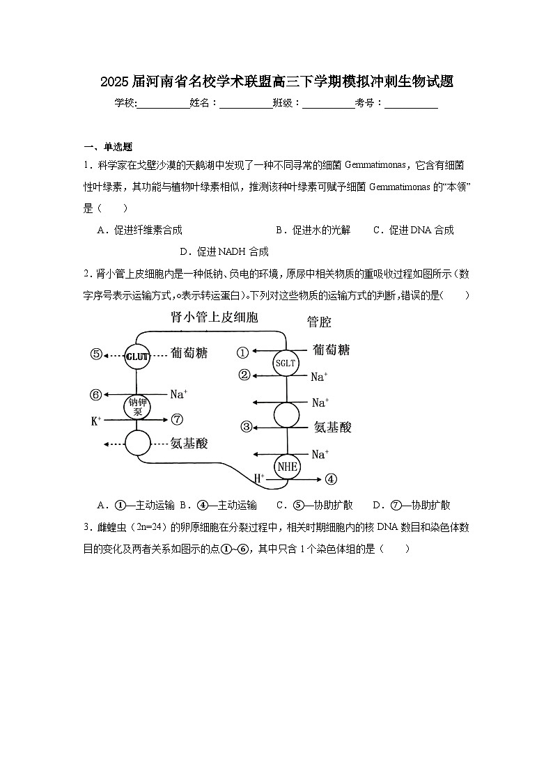 2025届河南省名校学术联盟高三下学期模拟冲刺生物试题第1页