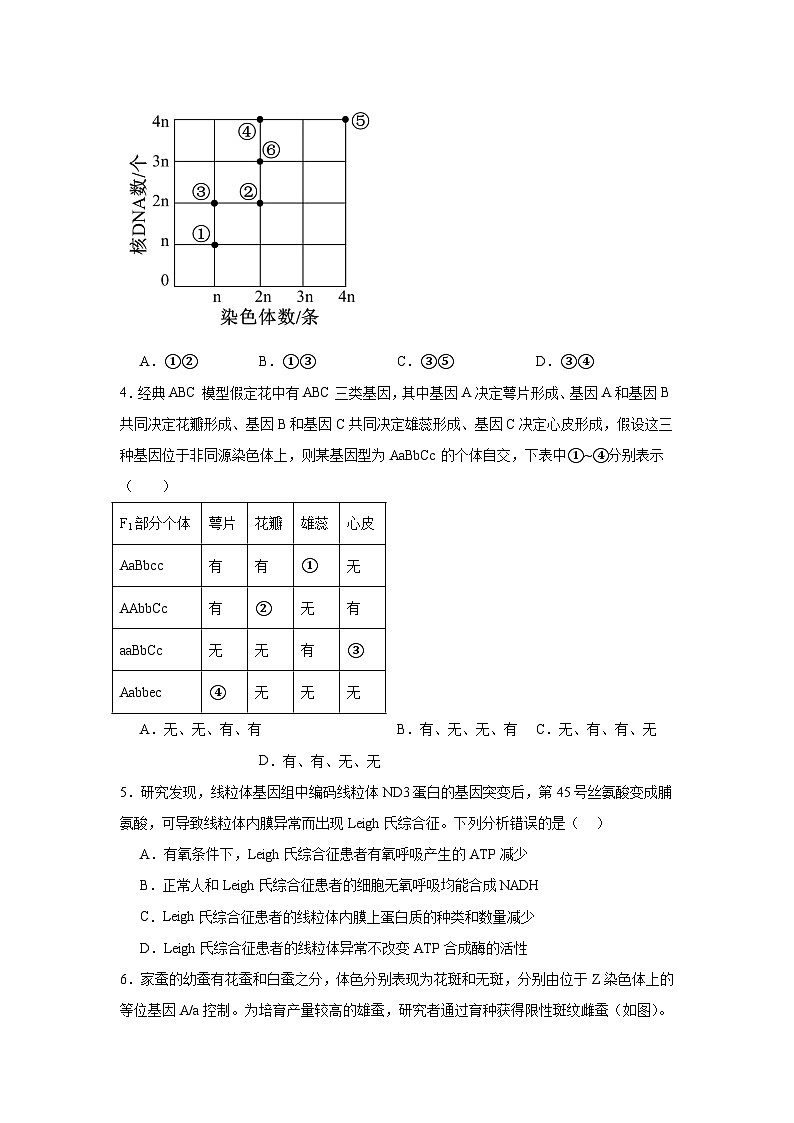 2025届河南省名校学术联盟高三下学期模拟冲刺生物试题第2页
