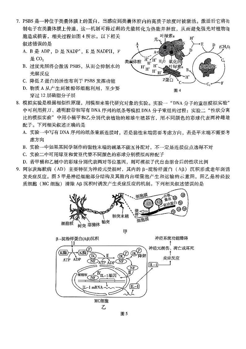 生物试卷第3页