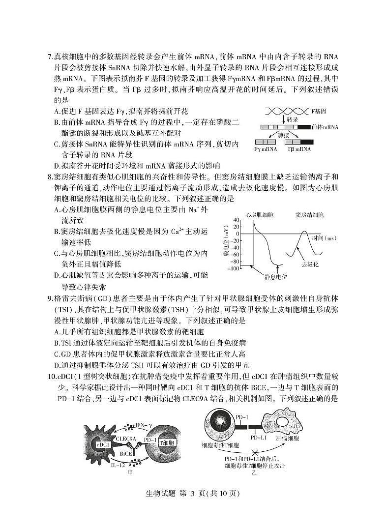 山东省临沂市2025年高三下学期高考一模生物学试题及答案第3页