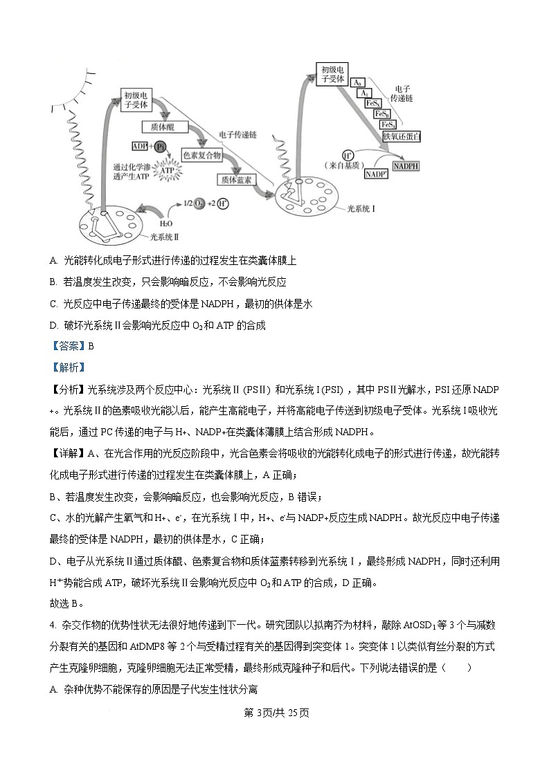 湖南省岳阳县第一中学2024-2025学年高三下学期入学考试生物试题含解析第3页