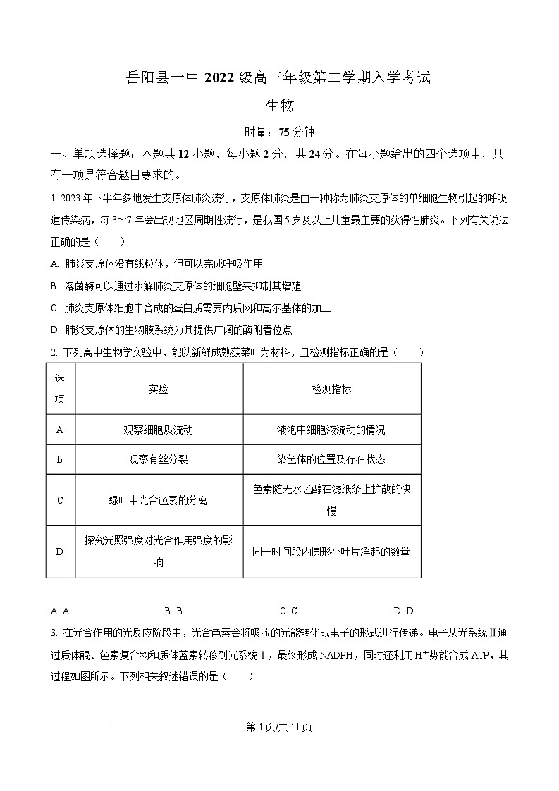 湖南省岳阳县第一中学2024-2025学年高三下学期入学考试生物试题（原卷版）第1页