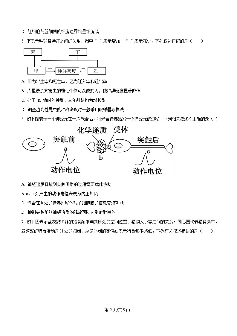 湖南省岳阳市岳阳县第一中学2024-2025学年高二下学期开学生物试题（原卷版）第2页