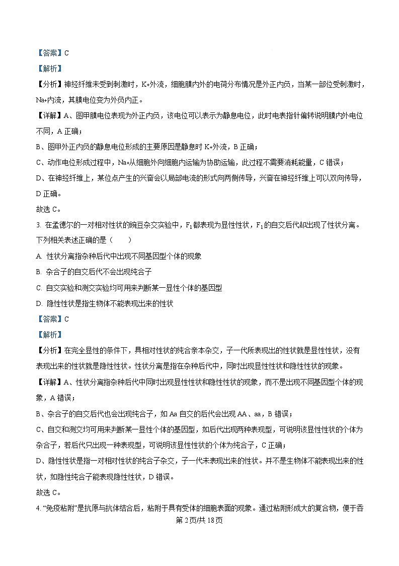 湖南省岳阳市岳阳县第一中学2024-2025学年高二下学期开学生物试题含解析第2页