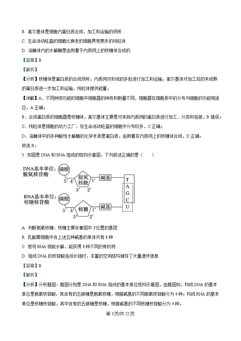 湖北省武汉市洪山高级中学2024-2025学年高一下学期2月考试生物试卷含解析第3页