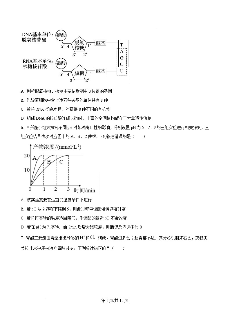 湖北省武汉市洪山高级中学2024-2025学年高一下学期2月考试生物试卷（原卷版）第2页