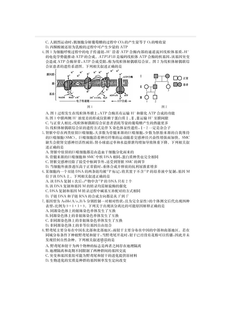 2024-2025学年下学期河南省新高中“创新联盟”高三开学测生物试卷第2页