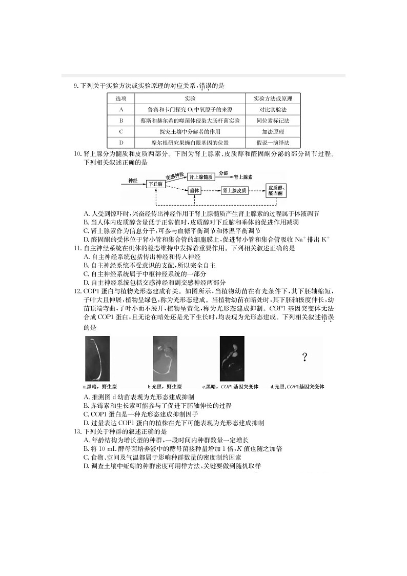 2024-2025学年下学期河南省新高中“创新联盟”高三开学测生物试卷第3页