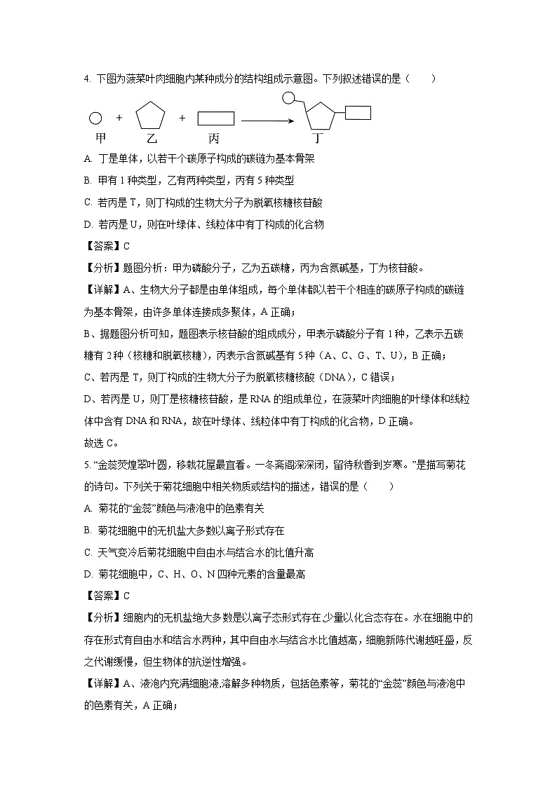 河北省示范性高中2024-2025学年高一(上)阶段性联合测评月考生物试卷（解析版）第3页