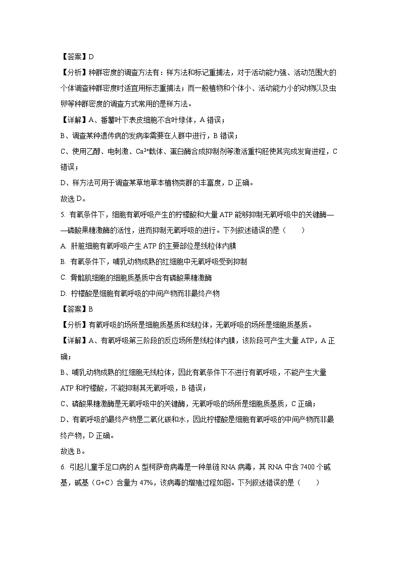 河北省邯郸市2024—2025学年高三(上)第二次调研生物试卷（解析版）第3页