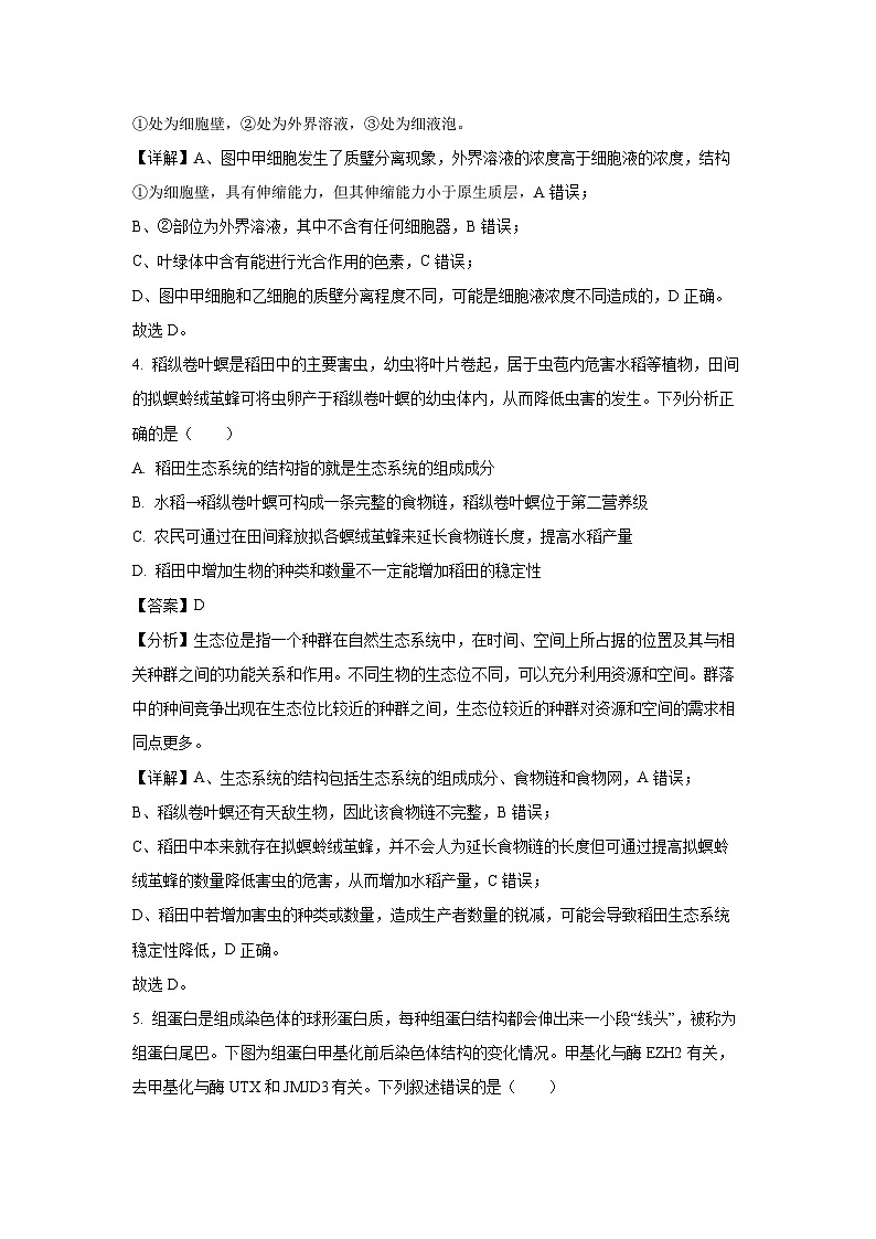 河北省邯郸市部分学校2024-2025学年高三(上)12月月考生物试卷（解析版）第3页