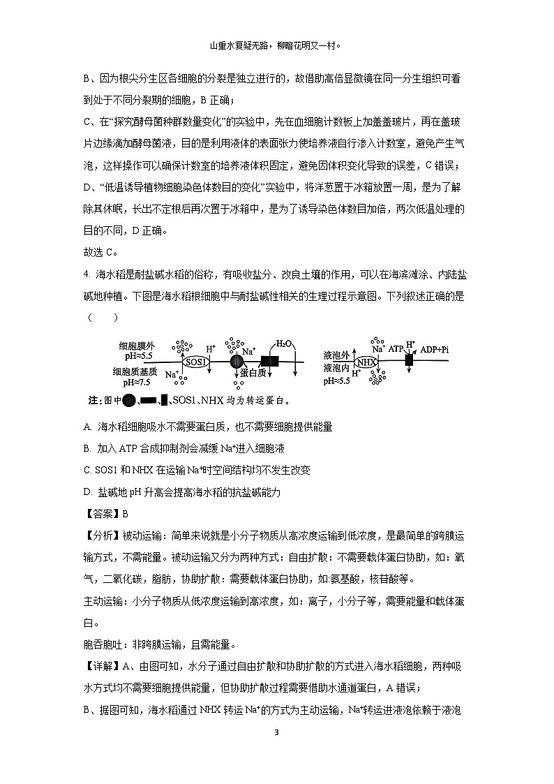 河北省邯郸市部分学校2024-2025学年高三(上)1月期末考试生物试卷（解析版）第3页