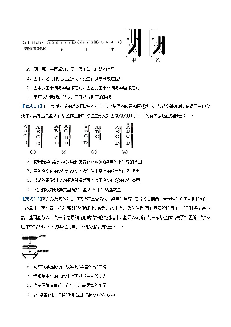 专题11 生物的变异和进化（7大题型）（原卷版）第3页