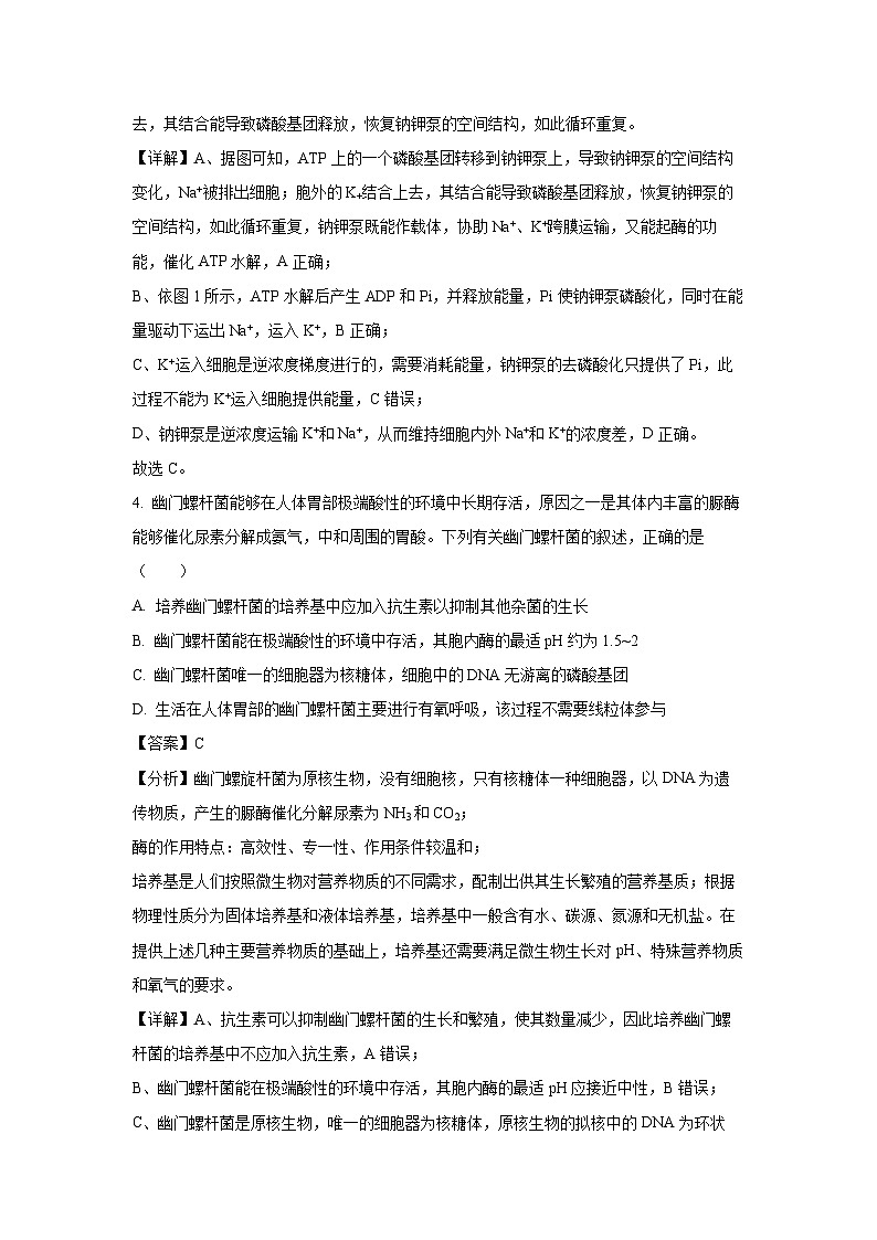 江苏省部分学校2024-2025学年高三(上)12月联合测评生物试卷（解析版）第3页