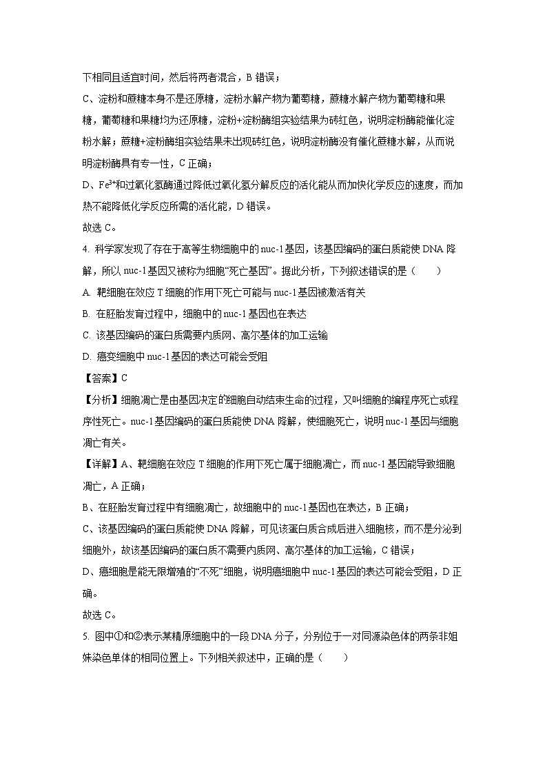 江苏省南京市六校联合体2024-2025学年高三上11月联考生物试卷(解析版)第3页