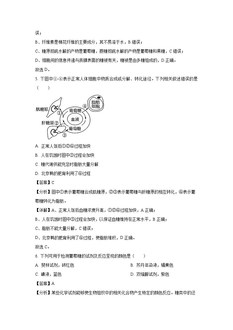江苏省泰州市泰兴市2024-2025学年高一上学期期末考试生物试卷（解析版）第3页