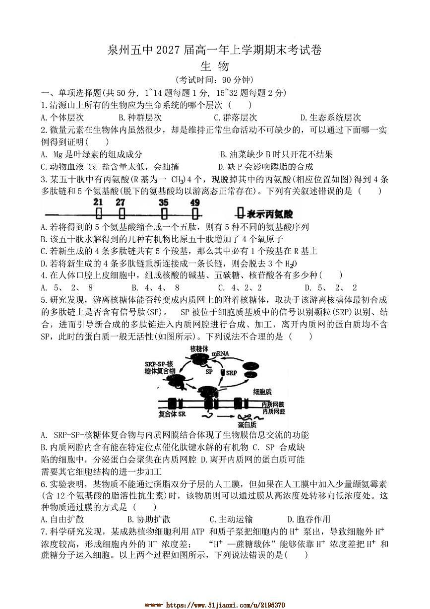 2024～2025学年福建省泉州市五中高一上期末考试生物试卷(含答案)第1页