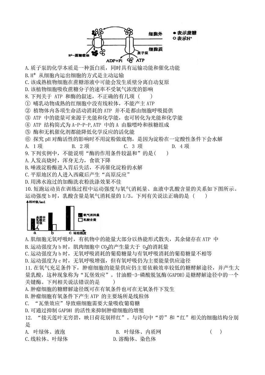 2024～2025学年福建省泉州市五中高一上期末考试生物试卷(含答案)第3页