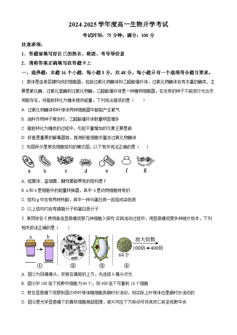 四川省荣县中学校2024-2025学年高一下学期开学考试生物试题（原卷版）第1页