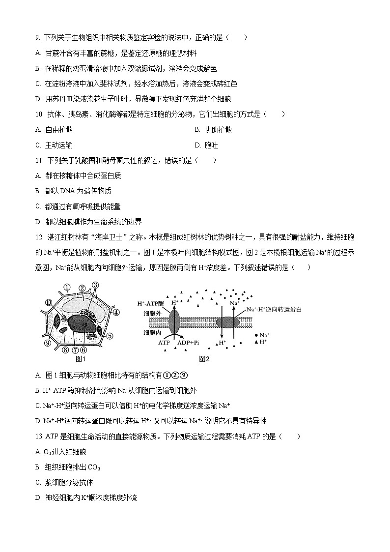 四川省荣县中学校2024-2025学年高一下学期开学考试生物试题（原卷版）第3页