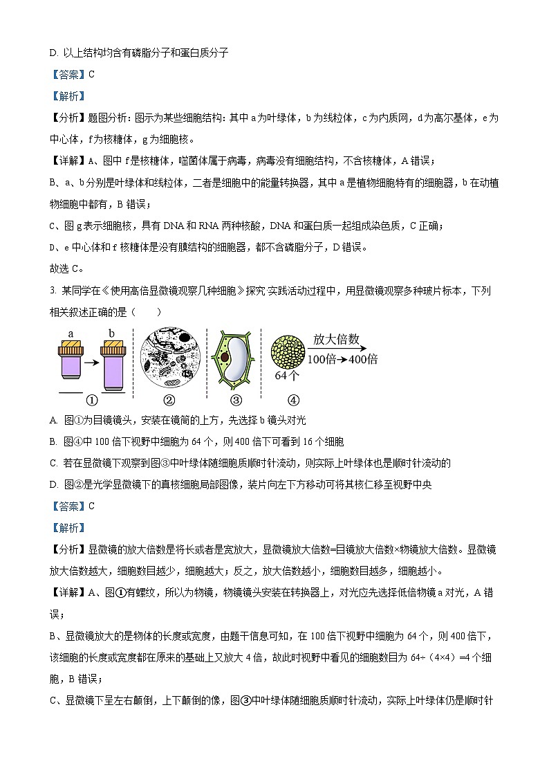 四川省荣县中学校2024-2025学年高一下学期开学考试生物试题（解析版）第2页
