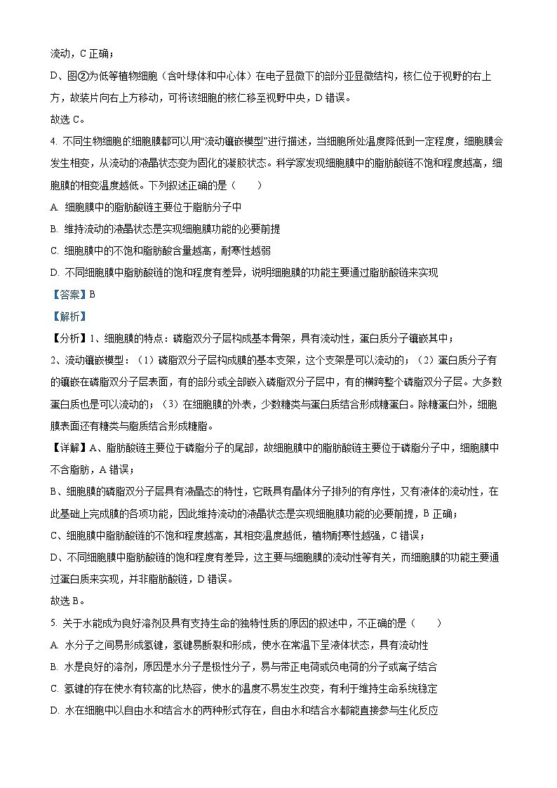 四川省荣县中学校2024-2025学年高一下学期开学考试生物试题（解析版）第3页
