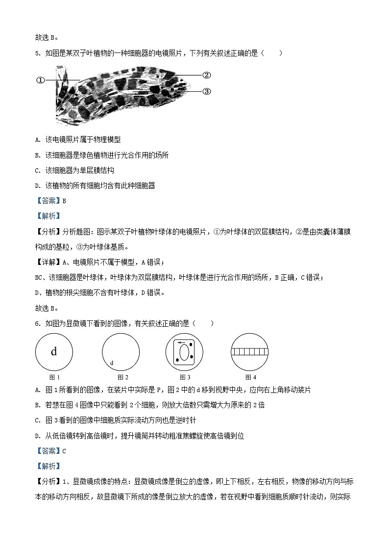 安徽省亳州市2023_2024学年高一生物上学期期末试题含解析第3页