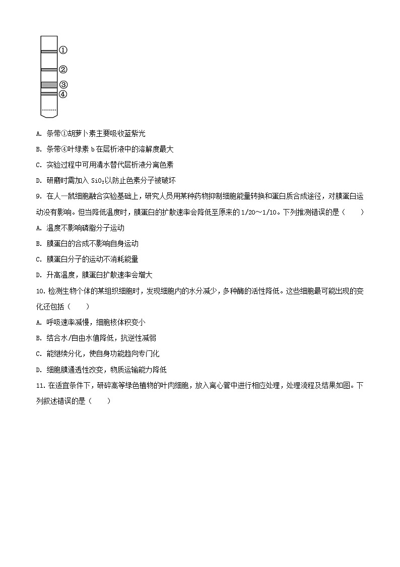 山东省日照市2023_2024学年高一生物上学期期末校际联合考试含解析第3页