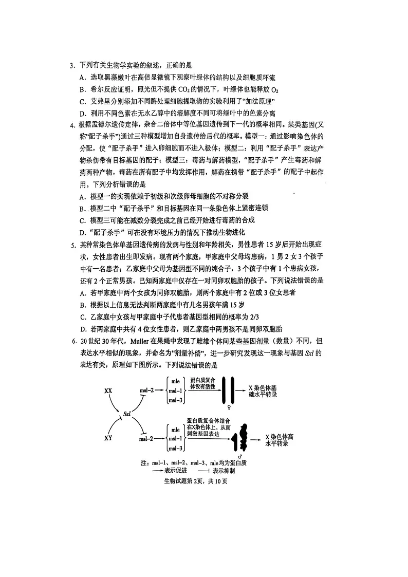 2024-2025学年下学期2025届山东省实验中学高三第四次诊断考试生物试卷含答案第2页