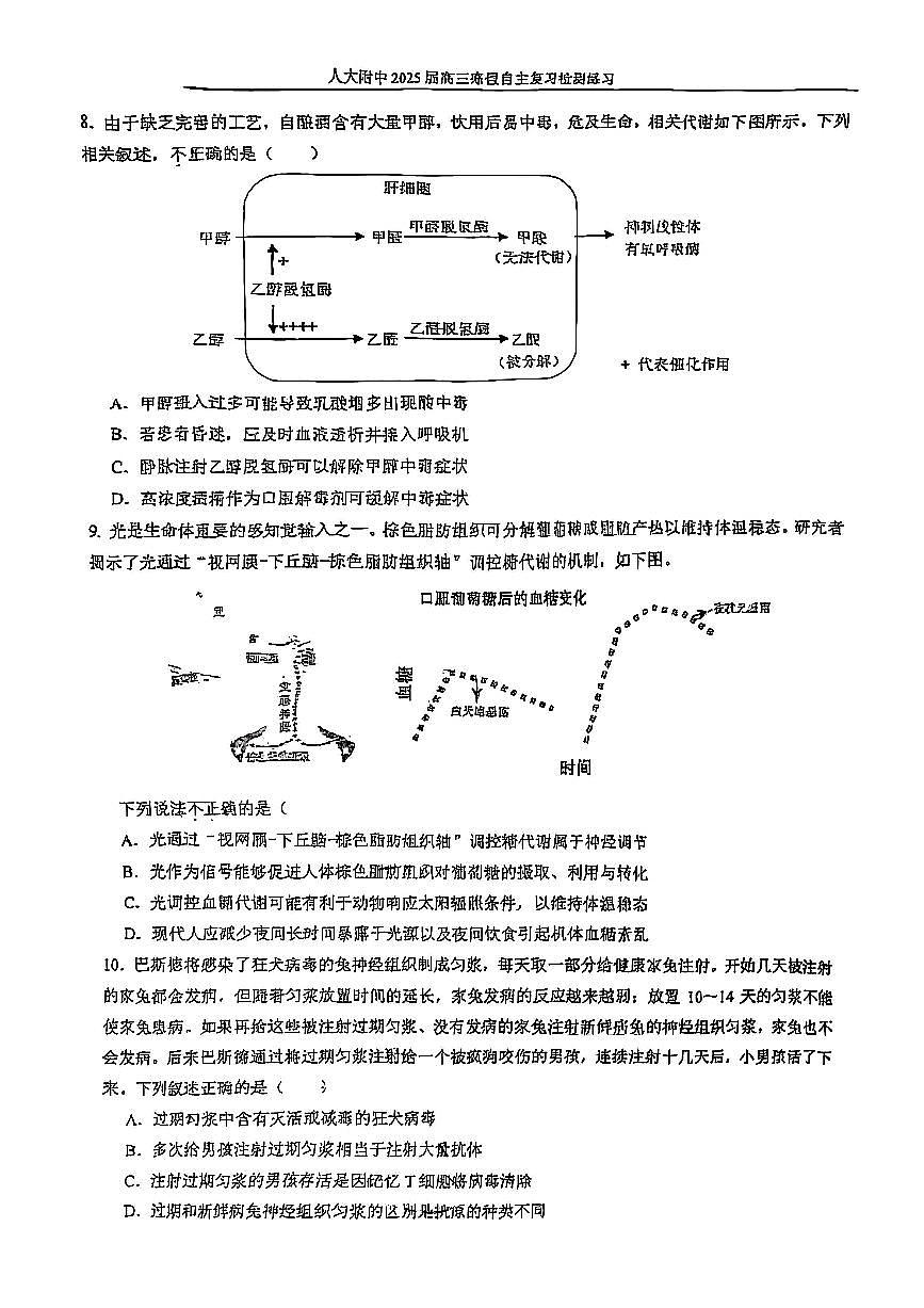 2025北京人大附中高三（下）开学考生物 及答案第3页