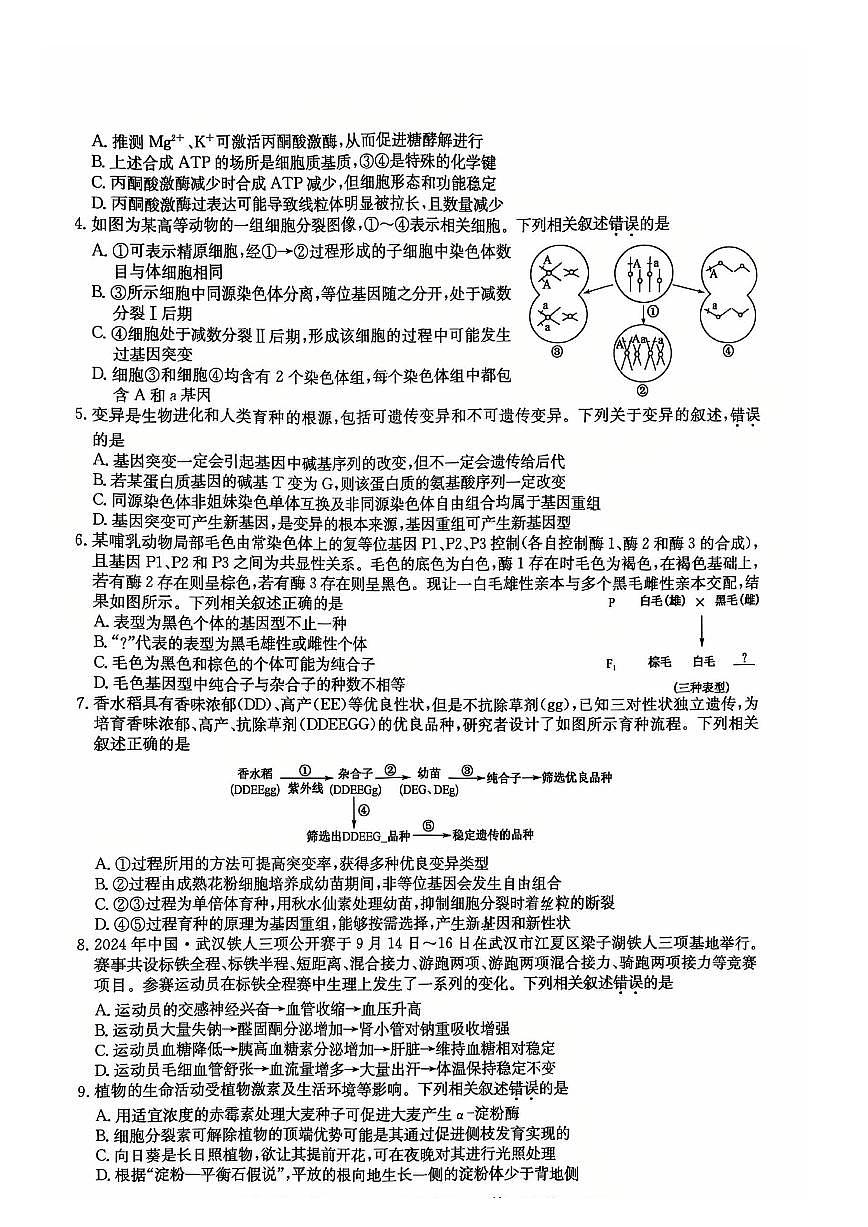 湖北省黄冈市2025届高三下学期高考模拟核心预测卷生物+答案第2页