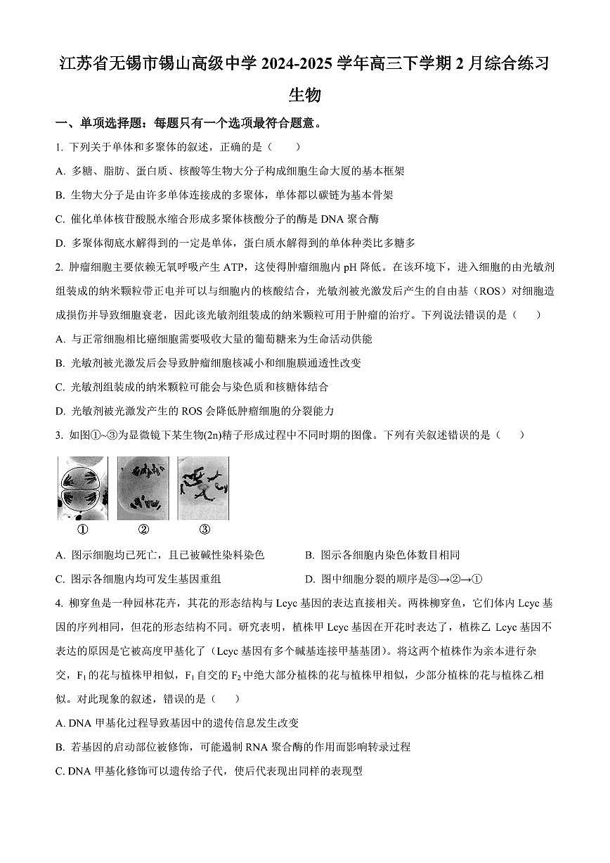 江苏省锡山高级中学2024-2025学年高三下学期2月综合练习生物+答案第1页