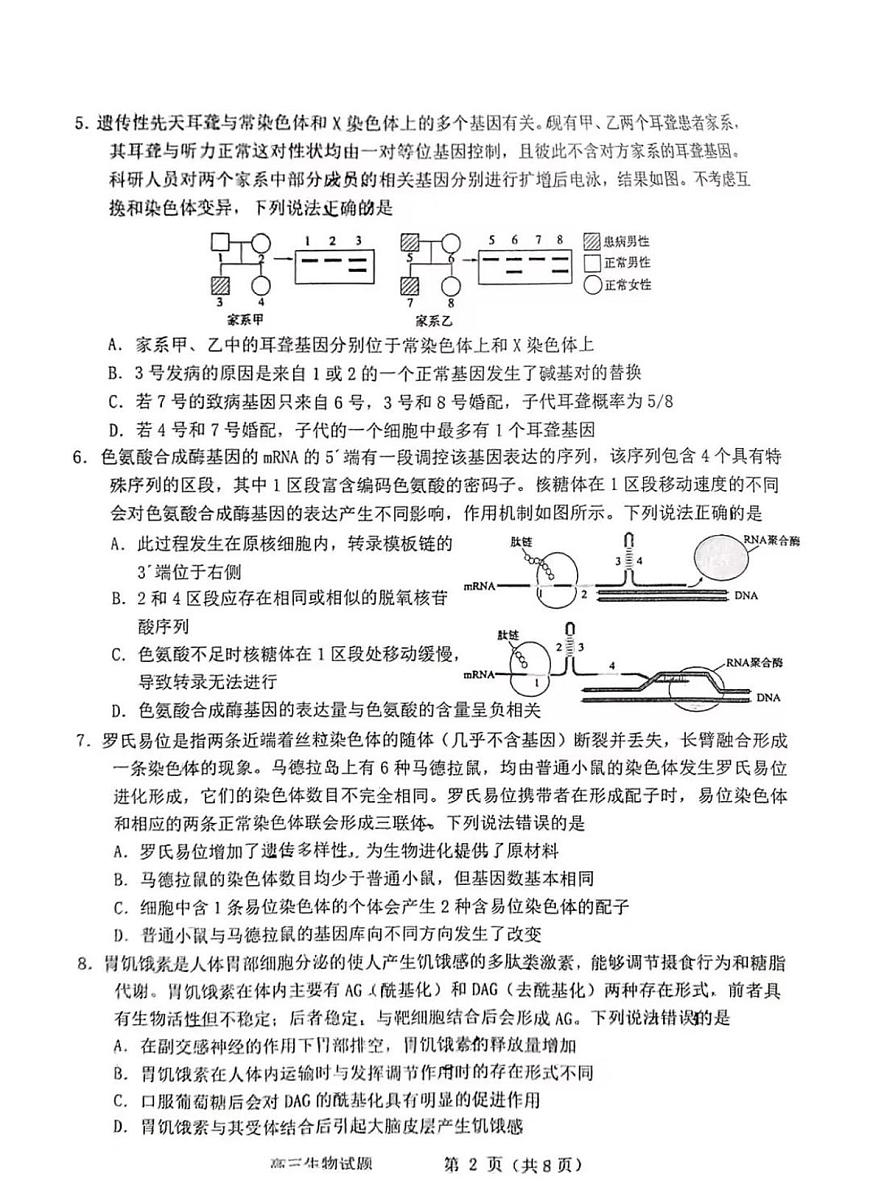 2025届山东省烟台市高三一模 烟台市+德州市+东营市高考诊断性测试 生物试题及答案第2页
