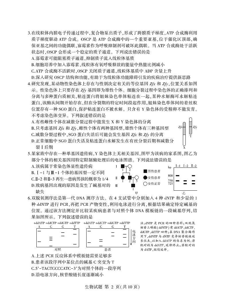 生物-山东省临沂市2025届高三一模检测第2页