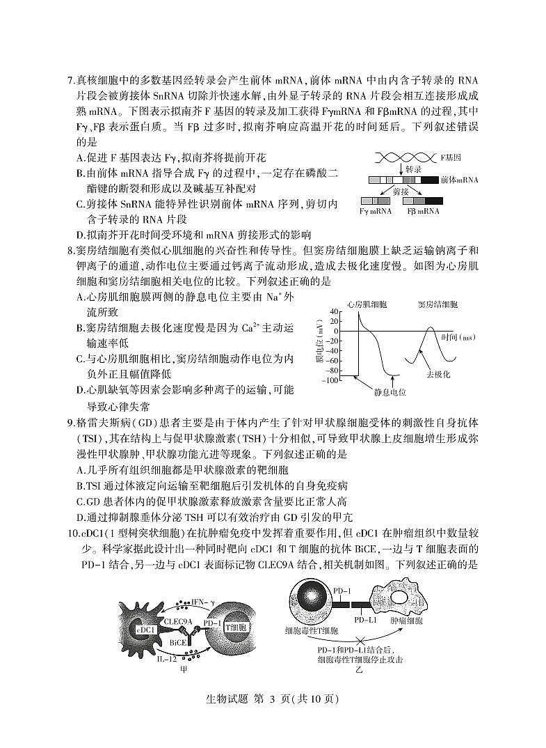 生物-山东省临沂市2025届高三一模检测第3页