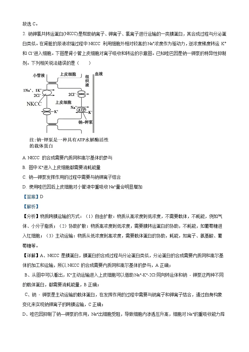 重庆市拔尖强基联盟2024-2025学年高三下学期2月月考生物试题含解析第2页
