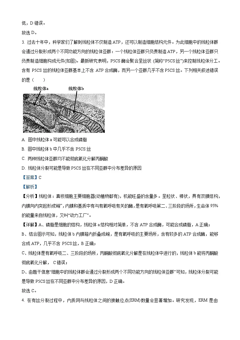 重庆市拔尖强基联盟2024-2025学年高三下学期2月月考生物试题含解析第3页