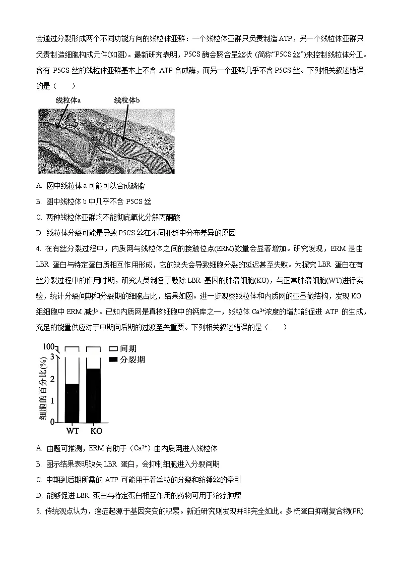 重庆市拔尖强基联盟2024-2025学年高三下学期2月月考生物试题（原卷版）第2页