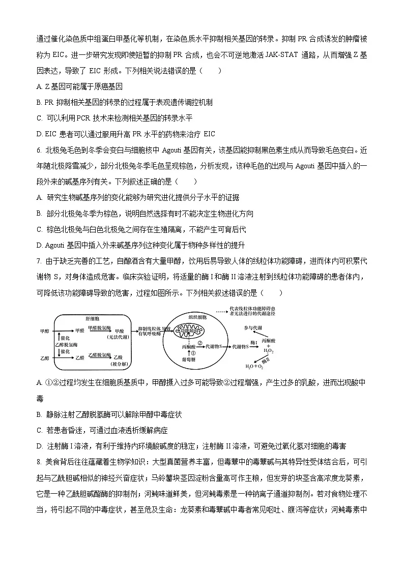 重庆市拔尖强基联盟2024-2025学年高三下学期2月月考生物试题（原卷版）第3页