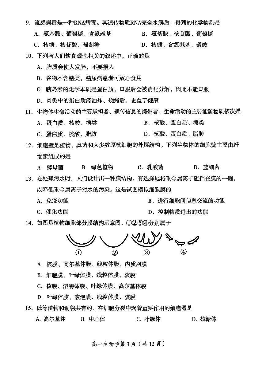 2024北京房山高一（上）期中生物试卷（无答案）第3页