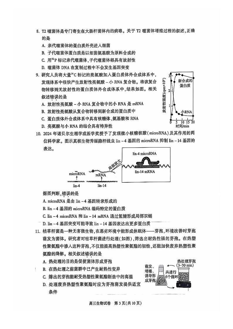 2024北京朝阳高三（上）期中生物试卷（有答案）第3页