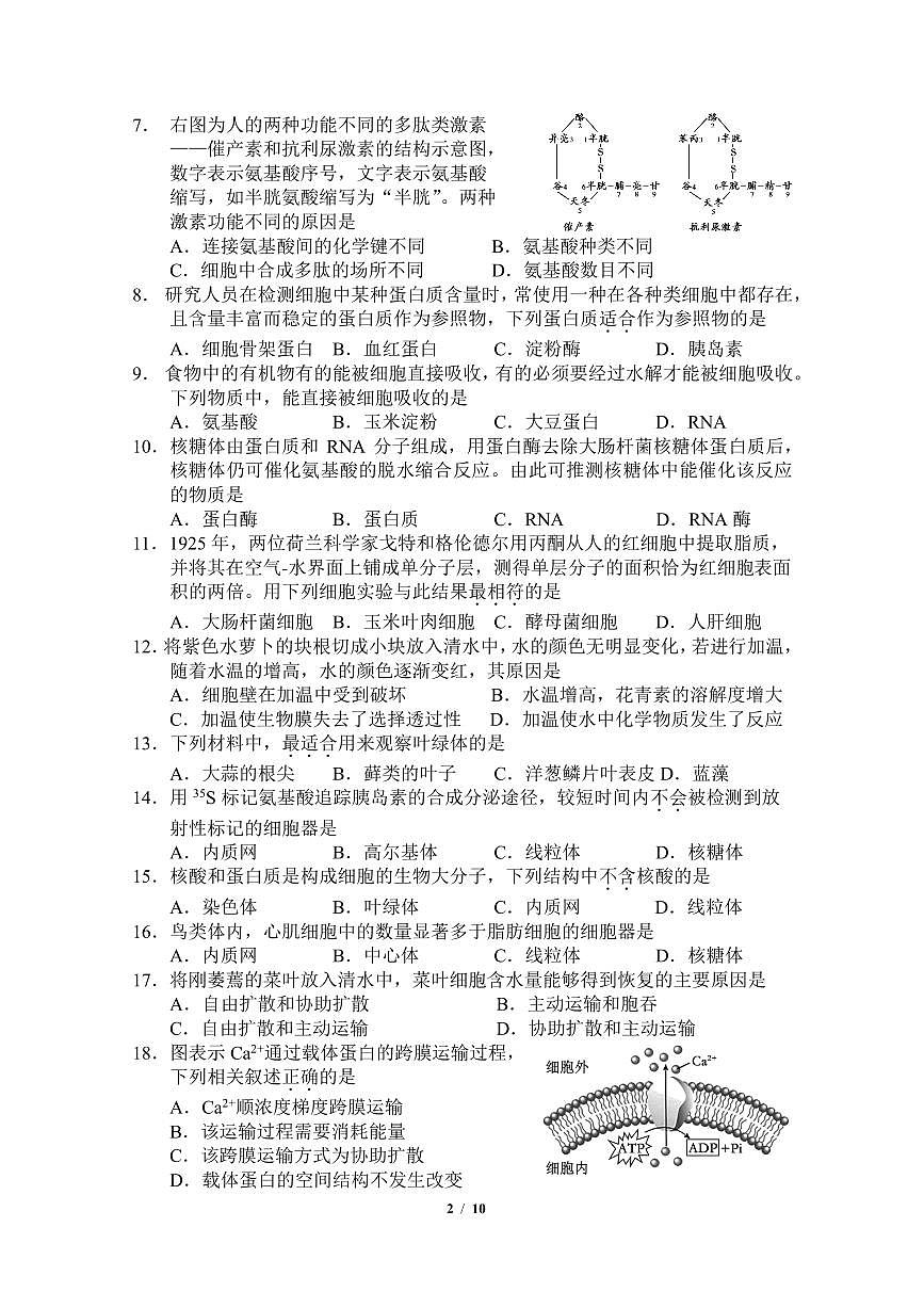 2024北京贸大附中高一（上）期中生物试卷（有答案）第2页