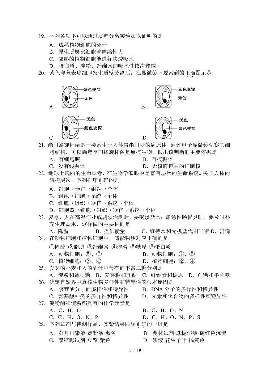 2024北京贸大附中高一（上）期中生物试卷（有答案）第3页