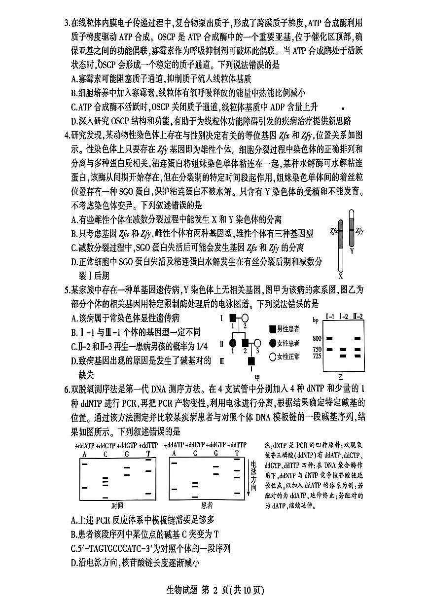 山东省临沂市2025届高三高考模拟一模考试-生物试卷+答案第2页