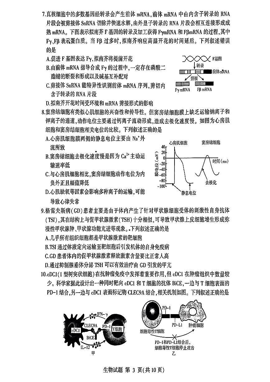 山东省临沂市2025届高三高考模拟一模考试-生物试卷+答案第3页