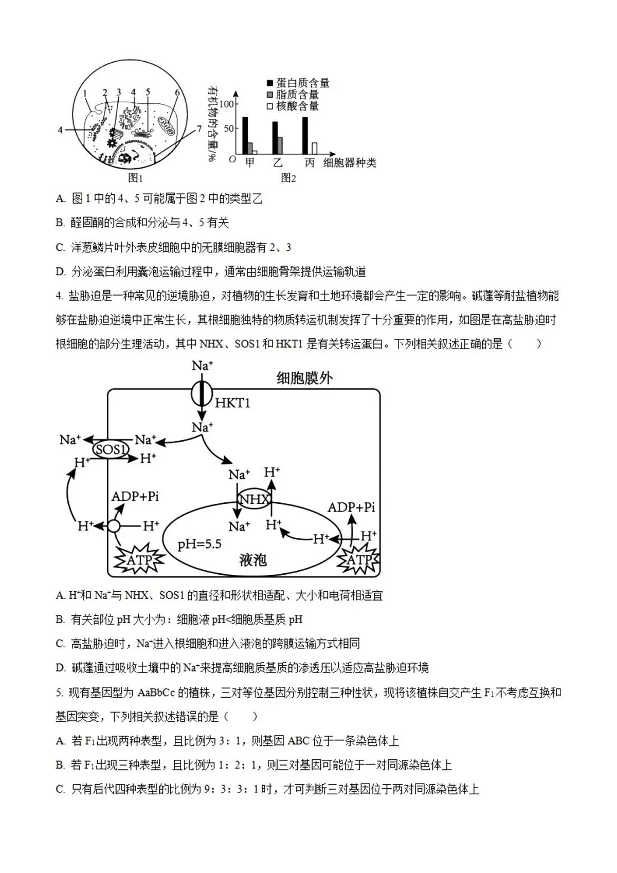 2025届黑龙江省齐齐哈尔市高三下学期高考模拟一模-生物试题+答案第2页