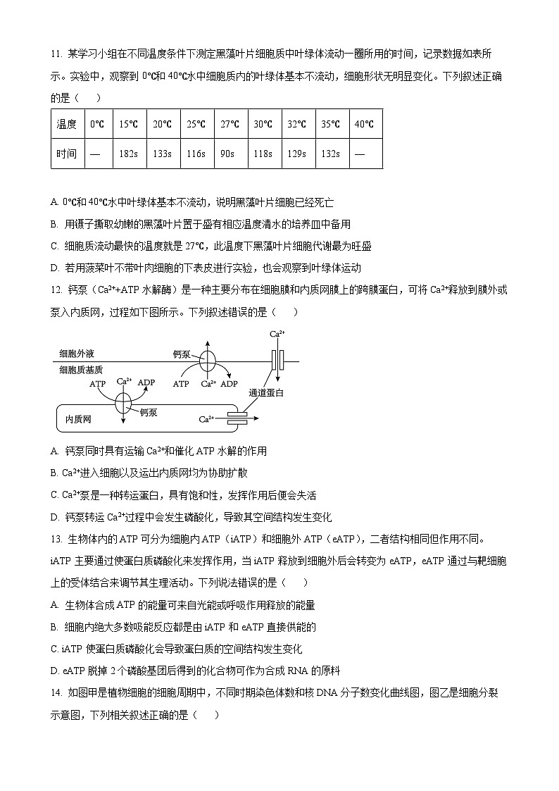 四川省泸州市泸县第五中学2024-2025学年高一下学期开学考试生物试题（原卷版）第3页